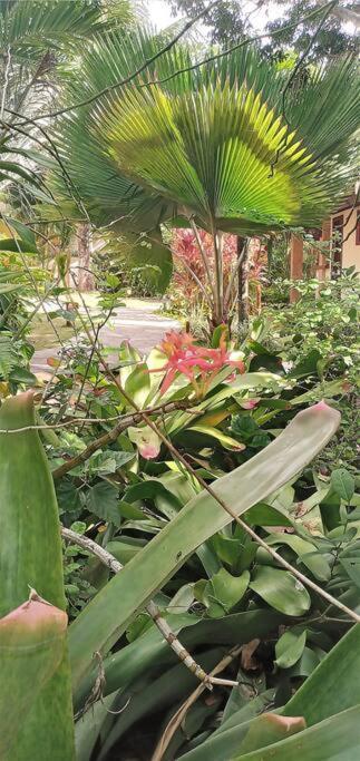 Imbassai - Casa Alto Padrao Completa - Condominio Fechado - A1B1 ภายนอก รูปภาพ